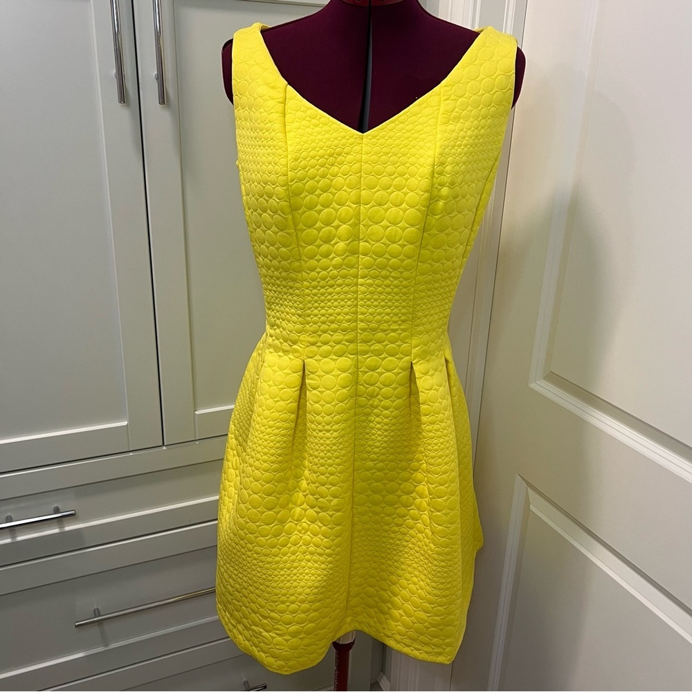 NWT TAYLOR Sleeveless Quilted Pleated V-Neck A-Line Fully Lined Dress | Size 14